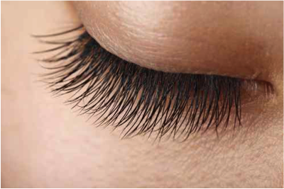 Lashes - EYE-Q Vision Care