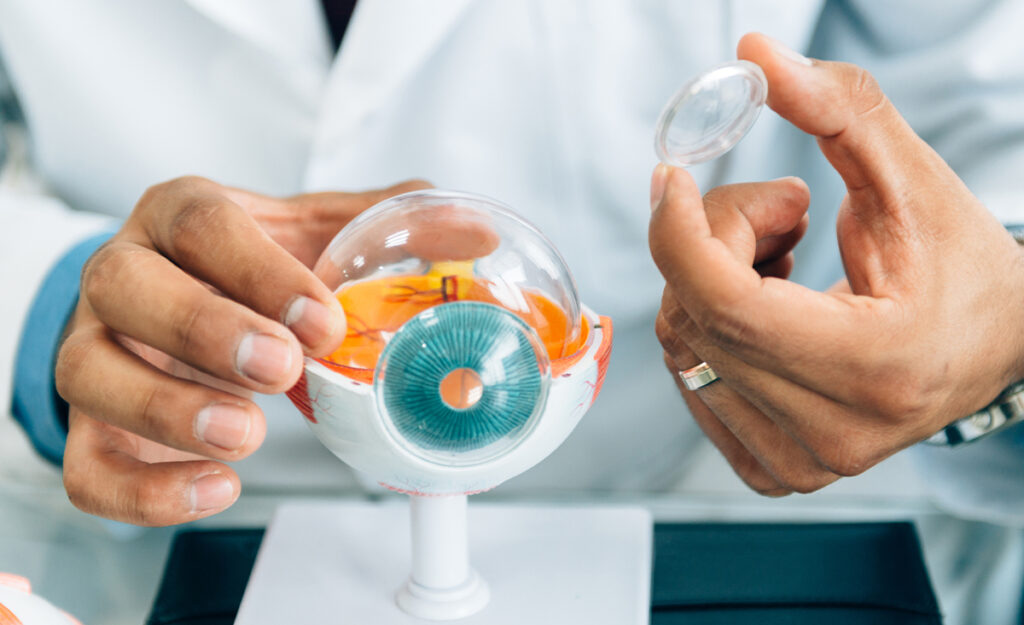 All about your retinas EYEQ Vision Care